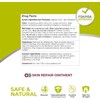 Pomada calmante antibacteriana Terrasil, 1