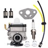 Hippotech 16100-ZM5-803 Carburetor with Fuel Line Kit for Honda 4
