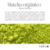 Matcha Orgánico Premium Polvo Antioxidantes Infinitea