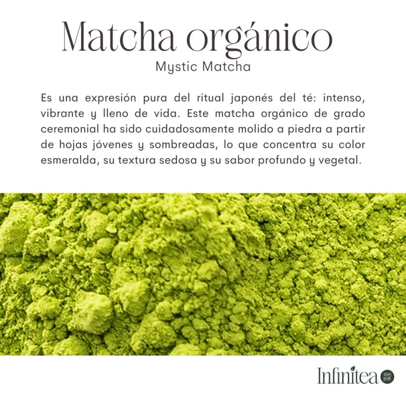 Matcha Orgánico Premium Polvo Antioxidantes Infinitea