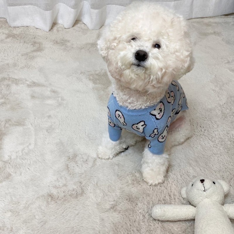 Dog Clothes Cute Pattern Moderate Thickness Soft Comfortable Small Dog