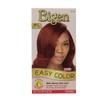 4RC Bigen Easy Color for Women Cinnamon Spice- New Formula
