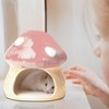 Nizirioo Unique hamster house ceramic: durable hamster hideout, hamster house
