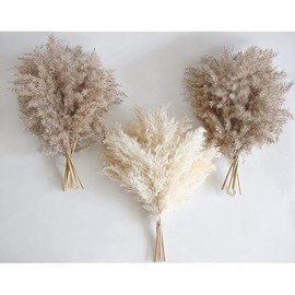 30 PCS Boho Decor, Fluffy Pompas Grass, Natural Dry Pampas Grass Small, Short Pampass Bulk for Boho Room Decor, Coffee Table Decor (17 inch )