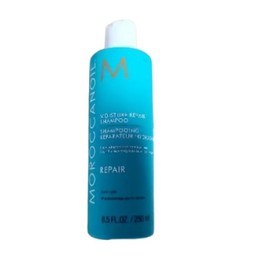 Damaged Hair Protein Care Moroccan Oil Moisture Repair Shampoo 250ml / 손상모 단백질 케어 모로칸오일 모이스처 리페어 샴푸 250ml
