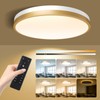 Lightania 15 Inch Flush Mount Ceiling Light with Remote Control