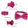 Alizeal Men's Tuxedo Bow Tie Hanky Cufflinks Set -