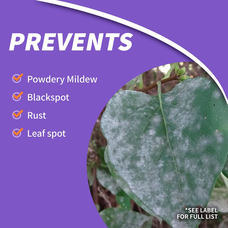 Bonide Rose Shield Spray, 128 oz Ready-to-Use, Insect and Disease