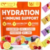 Venture Pal 2-in-1 Hydration Packets + Immune Electrolytes Powder with
