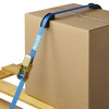 PAT Europe B.V. 1 x lashing strap with ratchet, 5