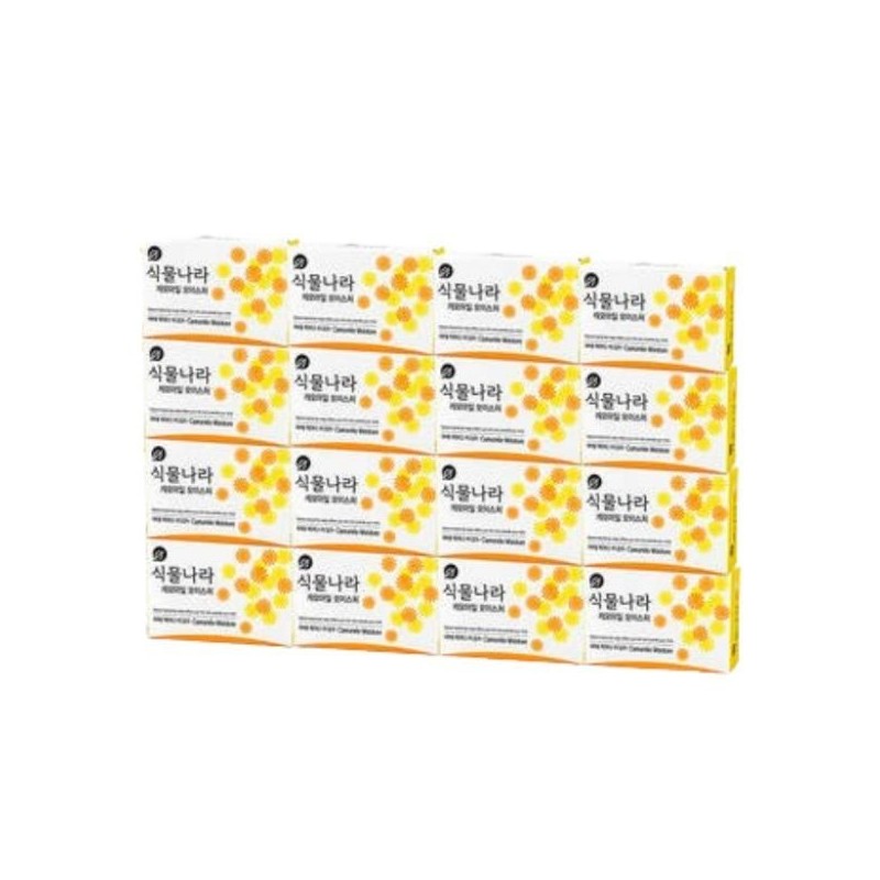 plant kingdom Soap x / Face Wash Soap 1. Plant