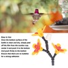 DIY Hummingbird Feeder Bottle Recycling Safe Harmless Bird Feeding Flower