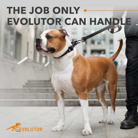 COLLAR Evolutor Extra Heavy Duty 10 Ft Dog Leash - Durable for Large, Medium and Small Dogs - Strong for Large Breeds - Walking (Black)