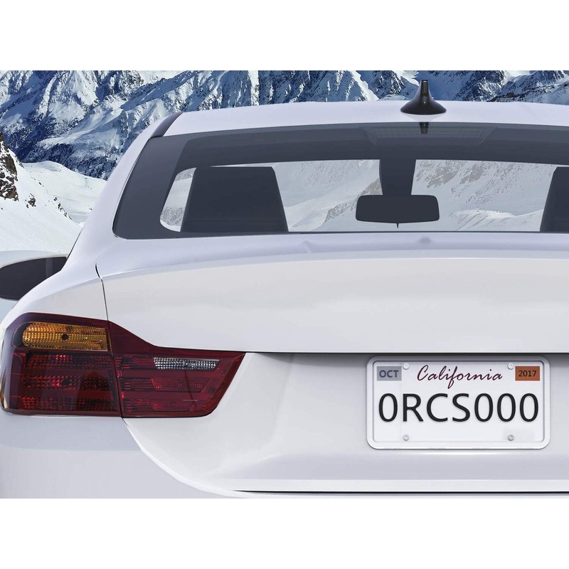 LFPartS Stainless Steel License Plate Backing Reinforce Holder/Bracket (Chrome)