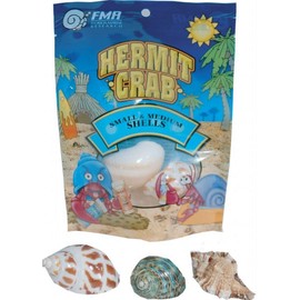 Florida Marine Research SFM33332 Hermit Crab Shell, Medium, 3-Piece per Pack