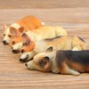 RillyRellow Miniature Corgi Figurine, Dollhouse Miniature Corgi, 1:12 Sleeping Welsh