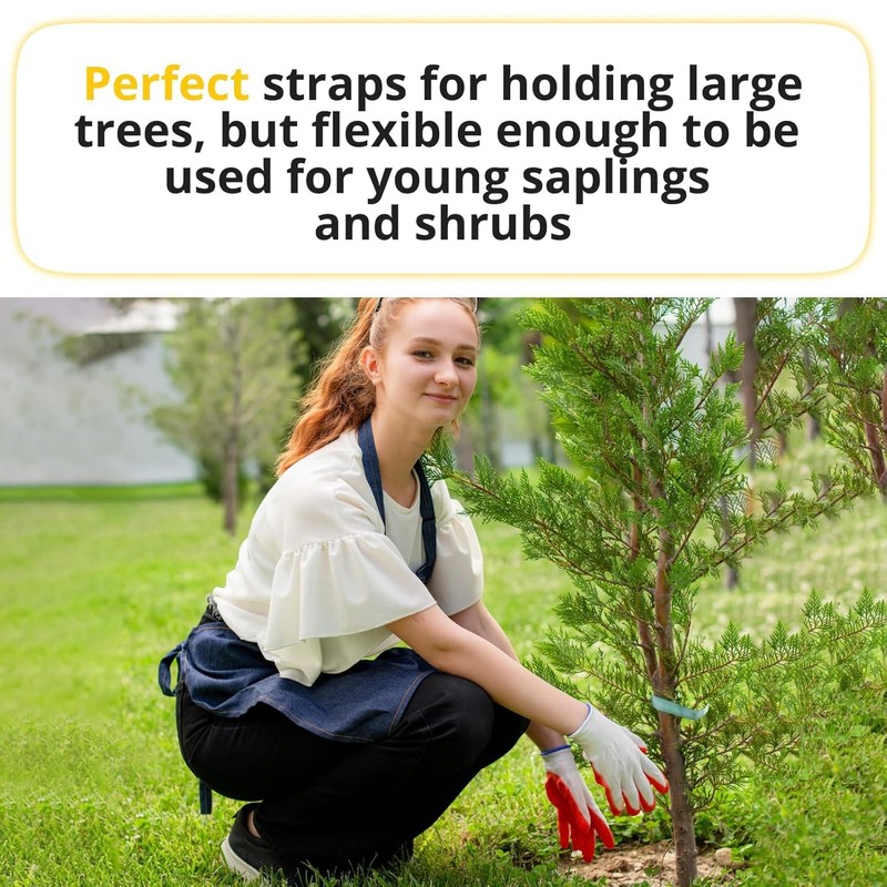 Green Tree Tie Webbing Strap 3/4" x 250' - Heavy