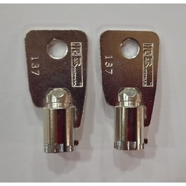 2 Keys Sentry Safe Key Code Cut 2057 Tubular Round Ace Key Cut to Your Code