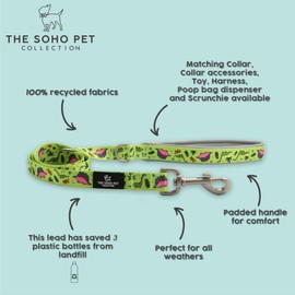 Ancol Adjustable Dino Patterned Dog Lead Durable Secure Fit Comfortable Padded Grip Sturdy Lightweight Pet Puppy Leash for Outdoor Running Walking