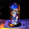 Valentines Day Romantic Gift Galaxy Rose LED Glass Dome Butterfly