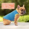 KYEESE 2 Pack Dog Cooling Shirts - Breathable Instant Cooling