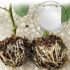 5 Set Reusable Plant Growing Grafting Rooting Devices High Pressure