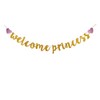 Welcome Princess Banner, Baby Shower Party Sign, Gender Reveal Party