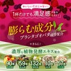 Fresh Fresh Smoothie (Smoothie Replacement, Fasting, Dietary Fiber, Lactic Acid
