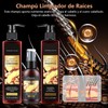 Champú Hair Shampoo，Champú Anticaída de Jengibre