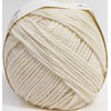 Hamanaka 2428 Pom Lily Fruit Dyed Yarn, Medium Size, Col.501,