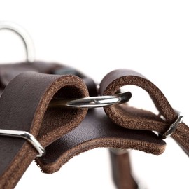 HUNTER AALBORG Dog Harness, Leather, M-L/1, Dark Brown
