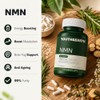 Youth & Earth NMN NAD+ Supplement, 250 mg, 60 Capsules