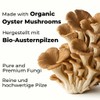 Disanvita OysterBoost Organic Oyster Mushrooms with High Natural Ergothionein Content