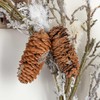 Factory Direct Craft Artificial Twig and Pine Cone Wreath for