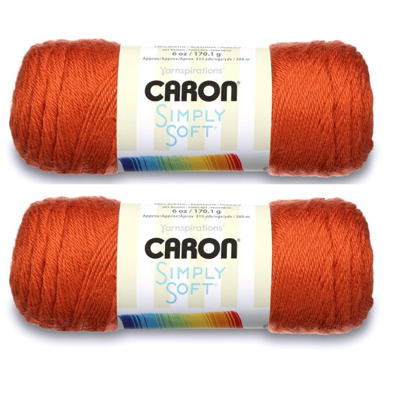 Bulk Buy: Caron Simply Soft Yarn Solids (2-Pack) (Pumpkin)