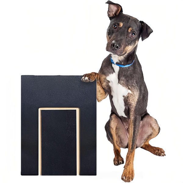 Dog Scratch Pad for Nails,Multifunctional Scratching Boards with Built-in Treat