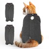 Cat Recovery Suit for Spay Abdominal Wounds Female, Onesie for
