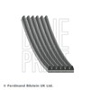 Blue Print AD06R1245 V-Ribbed Belt 6 Rib Count