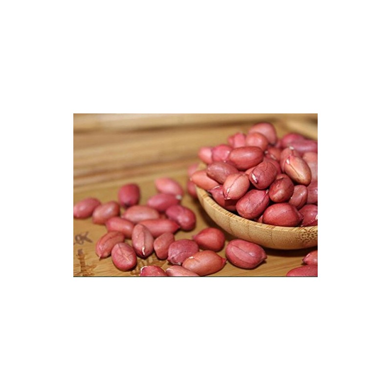 Helen Ou @ Shaanxi Specialty: Raw Red Shelled Peanut Kernel