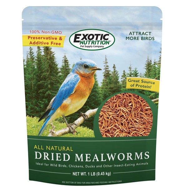Dried Mealworms - 100% Natural, Non-GMO, High Protein, Bulk Insect
