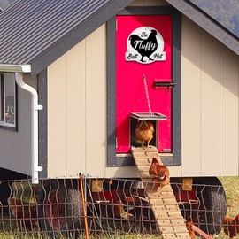 Zzbakress The Fluffy Butt Hut Signs,Chicken Coop Sign,Home Chicken Shed Decor (white)