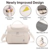 Lunch Bag Reusable Insulated Lunch Box for Men Women Adult