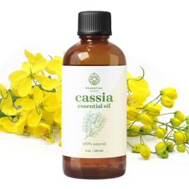 Cassia Essential Oil - Therapeutic Grade Aromatherapy Oil, Natural Immune Support, Mood Enhancer, and Air Purifier for Diffusers, Massage, and DIY Cleaning Products (4 Fl.Oz.)