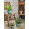 LE TAUCI LE TAUCI Ceramic Plant Pots, 4.3+5.3+6.8 inch, Set