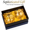 Large 21 oz Crystal Brandy and Cognac Snifter Glasses |