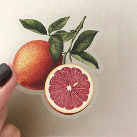 Transparent Vintage Fruits Stickers 50 Pcs Vinyl Cute Vegetable Sticker for Water Bottle Laptop Skateboard Motorcycle Bicycle Luggage Car Bumper,Waterproof Funny Strawberry Decals for Adults Girls