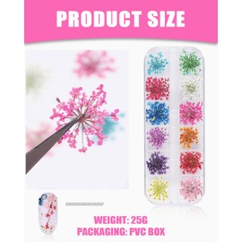 KGDUYC 1 Karton 3D Nagelkunst Aufkleber, Echte Getrocknete Blumen Nagelkunst Aufkleber Nail Art Sticker Maniküre Nail Art Dekoration,3d gel nail art,Trockenblumen-Gypsophila nail art - mit Pinzette