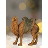MaMeMi Nativity Figurine Camel [Height Approx. 9.5 cm, Hand-Painted Made