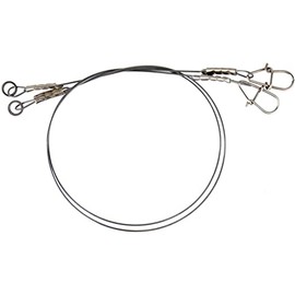 Savage Gear titanium jerk-bait, steel leader 30 cm, 0.6 mm, 25 kg, 2 titanium leaders for pike fishing, spin leader