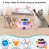 Cat Toys,3 in 1 Automatic Cat Toy,Interactive Cat Toys for